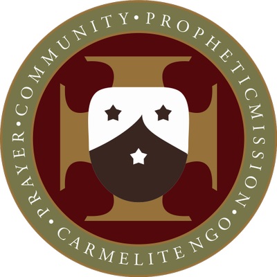 Carmelite NGO Logo