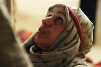 Celebrando en Familia - 20 Domingo del Tiempo Ordinario