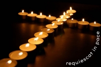 Vitam Coelo Reddiderunt (11/07/20 - 01/08/20)