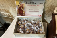 In preparazion della pioggia di rose di Santa Teresa