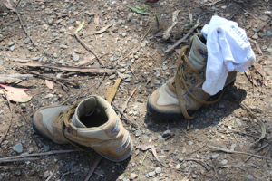 Celebrando en Familia - XIV Domingo del Tiempo Ordinario