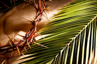 Celebrating At Home - Palm Sunday