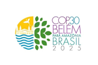COP 30 in Belém, Brazil: Just Another Summit?