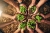 Laudato Si' Week 2021 Celebrations Around the Order