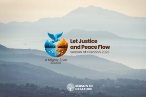 March in the Laudato Si' Movement