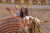 Auguri di Pasqua all' Ordine