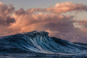 Celebrating At Home -&nbsp;20th Sunday in Ordinary Time