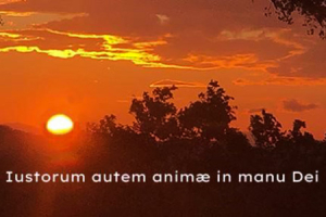 Vitam Coelo Reddiderunt