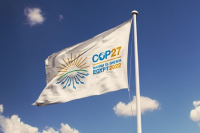 Carmelite NGO Joins World Leaders for COP 27 in Egypt