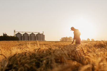 Celebrando in Casa - XVIII Domenica del Tempo Ordinario