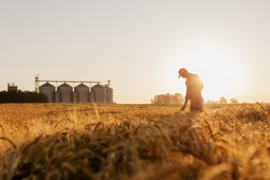 Celebrating At Home -&nbsp;18th Sunday in Ordinary Time