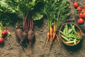 La trasformazione inizia a tavola: Quaresima 2024