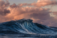 Celebrating At Home - 20th Sunday in Ordinary Time