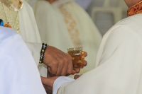 Causa Nostrae Laetitiae