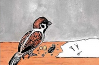 Edizioni Publishes 'Meditations' of John of St. Samson