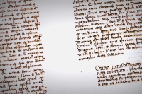 Research grant in memory of Fr Boaga, O.Carm - IV Edition (2020)