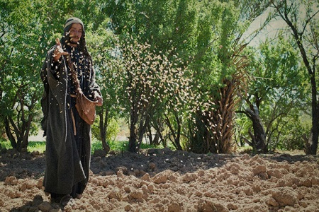 Celebrando en Familia -&nbsp;15 Domingo del Tiempo Ordinario