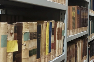 Activities of the Carmelite General Library