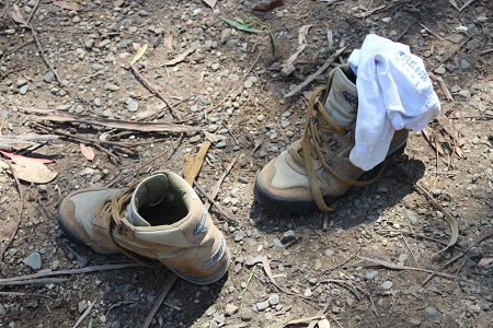 Celebrando In Casa - XIV Domenica del Tempo Ordinario