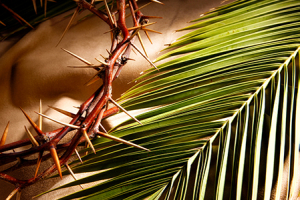 Celebrating At Home -&nbsp;Palm Sunday of the Passion of the Lord
