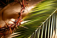 Celebrating At Home - Palm Sunday of the Passion of the Lord