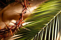 Celebrando in Casa -&nbsp;Domenica delle Palme