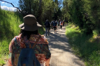 Celebrando En Familia - 13 Domingo del Tiempo Ordinario