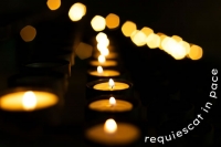 Vitam Coelo Reddiderunt (25/01/21 - 09/03/21)